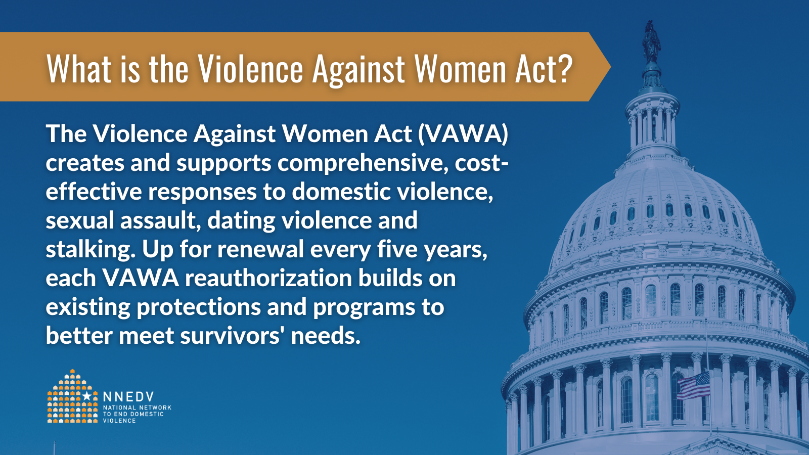Violence Against Women Act Nnedv 6309