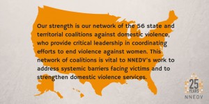 Our strength is our network of the 56 state and territorial coalitions against domestic violence, who provide critical leadership in coordinating efforts to end violence against women. This network of coalitions is vital to NNEDV's work to address systematic barriers facing victims and to strengthen domestic violence services.