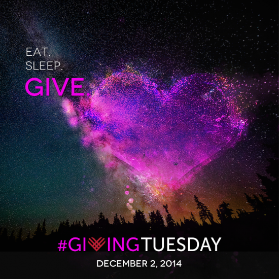 Graphic_GivingTuesday-GT-donate_Eat_Sleep_Give-2014