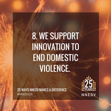 8. we support innovation to end domestic violence