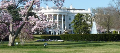 White House in spring