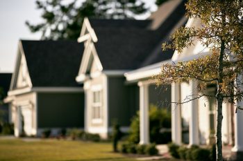 Row of three houses with one tree