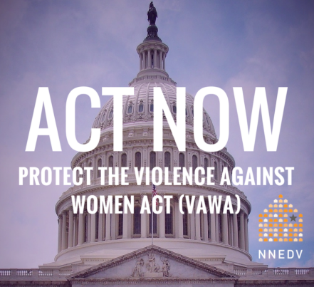 Act Now Protect the Violence Against Women Act VAWA