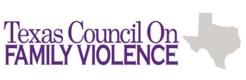 texas domestic violence statute