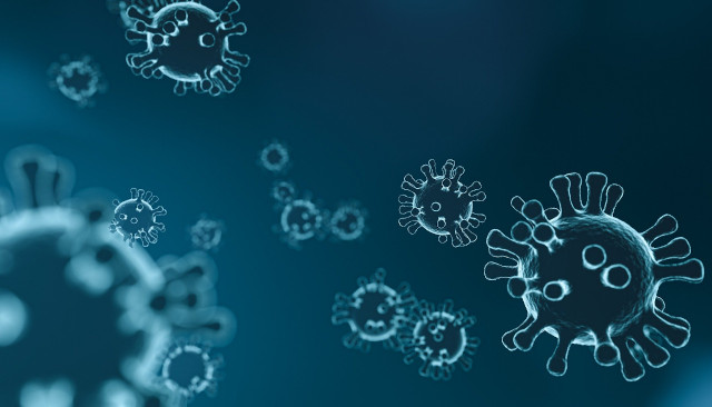Coronavirus Disease 2023: Understanding the Pandemic