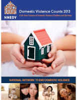 Census13 cover forwebsite