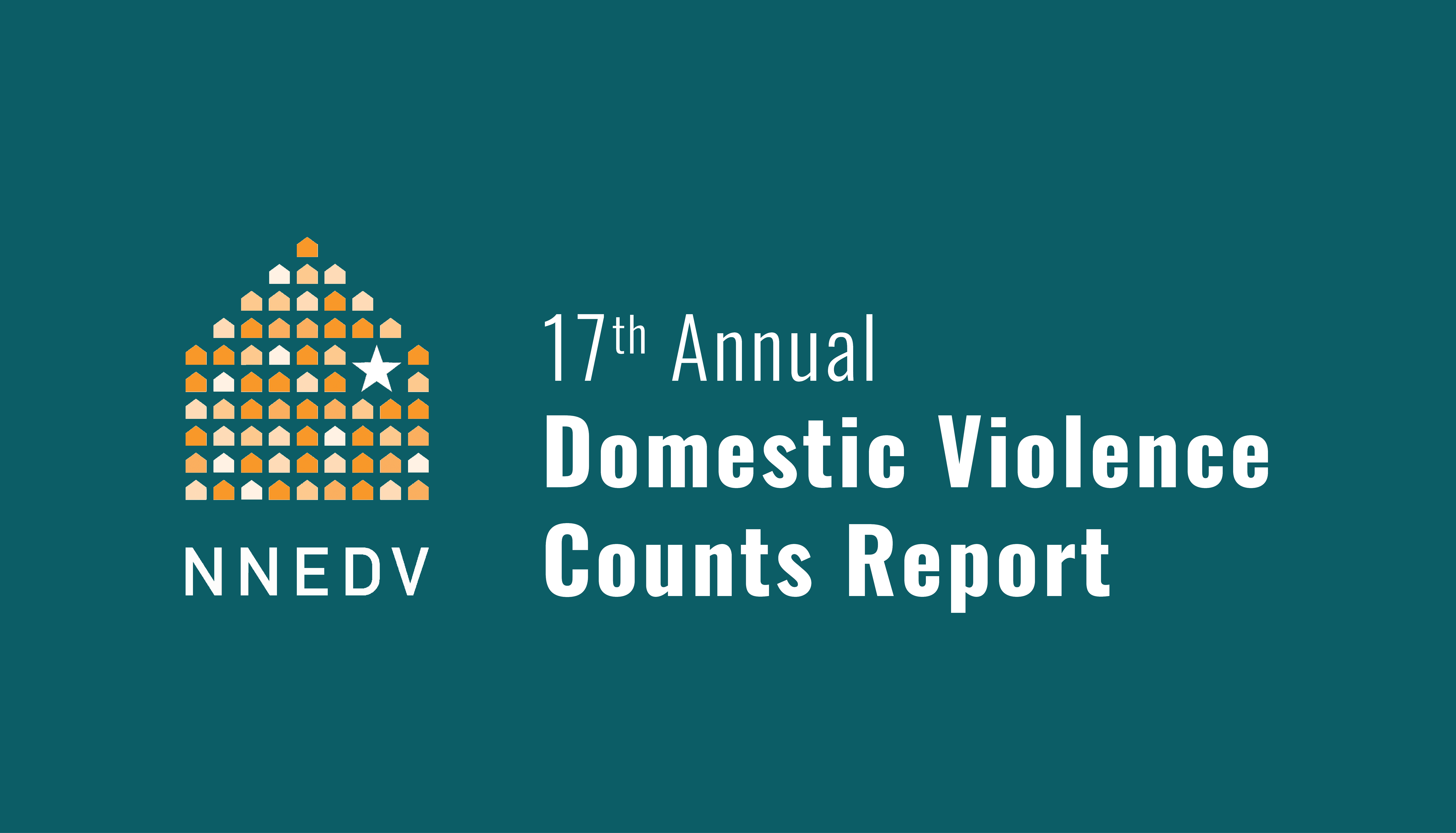 17th Annual Domestic Violence Counts Report – Launch Toolkit