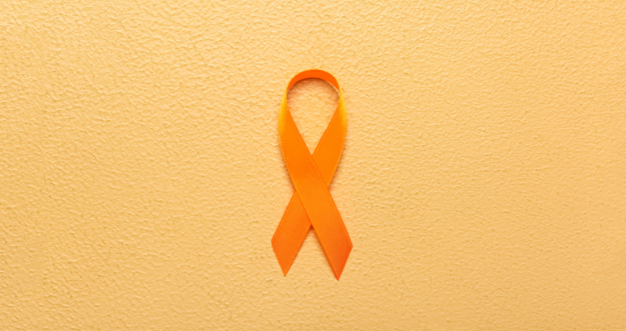 About the National Network to End Domestic Violence