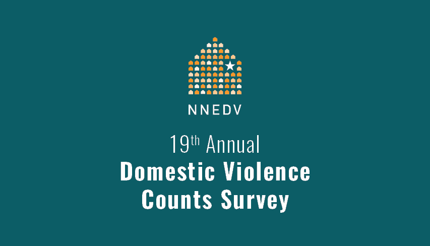 19th Annual Domestic Violence Counts – Survey Instructions and Packet