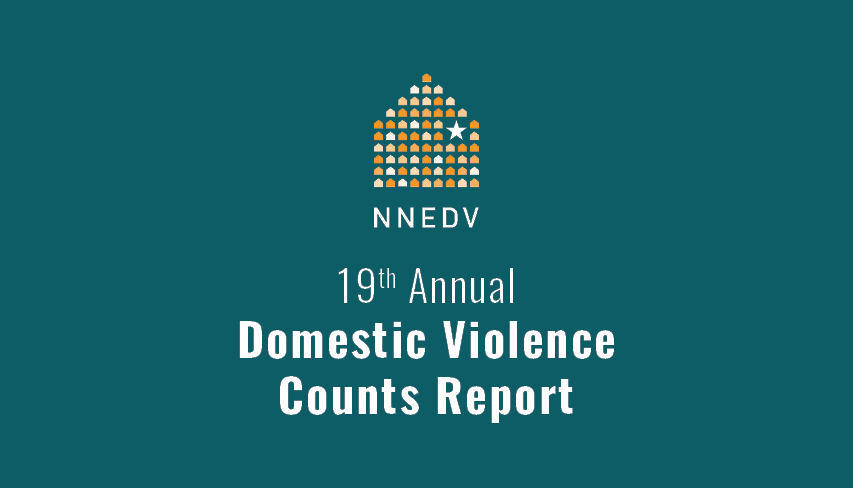 19th Annual Domestic Violence Counts Report – Wyoming Summary